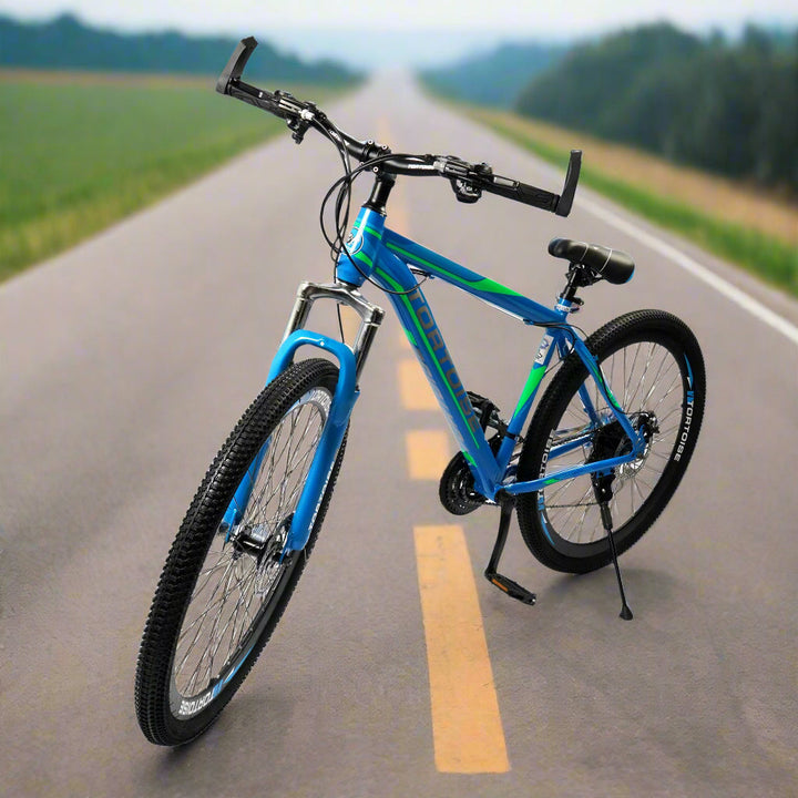 Tortoise Kids Gear Bicycle 29