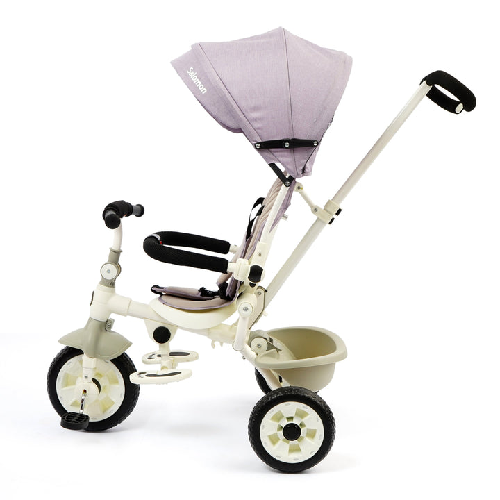 DLX Kids Tricycle