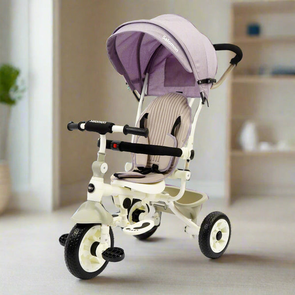 DLX Kids Tricycle