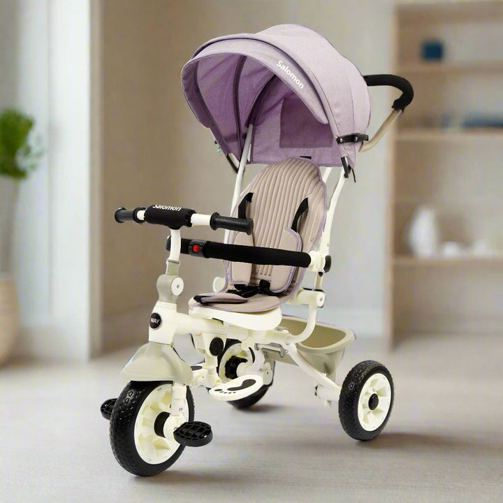 DLX Kids Tricycle