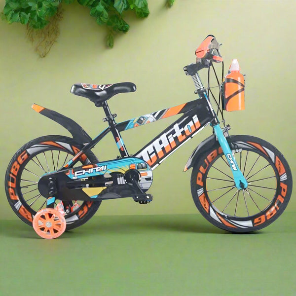 Chitai 16-Inch Kids Bicycle with Training Wheels