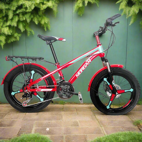Morgan Gear Mountain 20-Inch Kids Bicycle