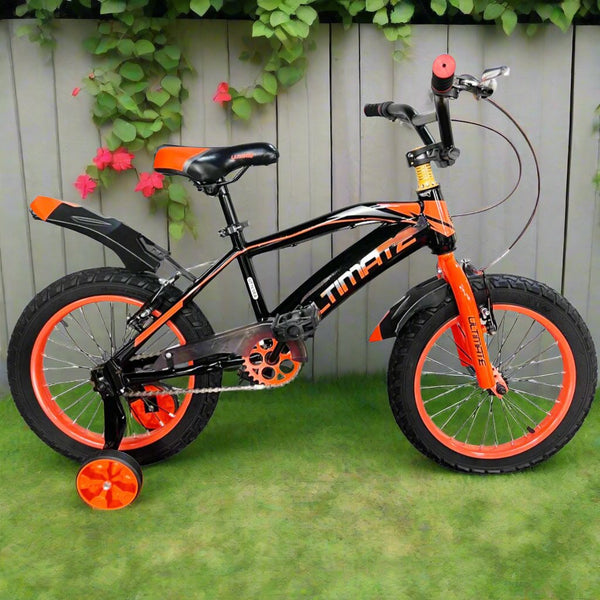 Ultimate 16-Inch Kids Bicycle