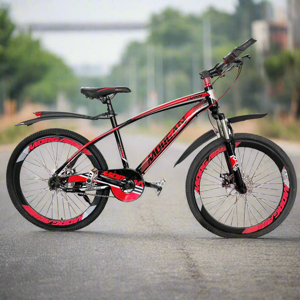 Morgan Gear Bicycle - 24"
