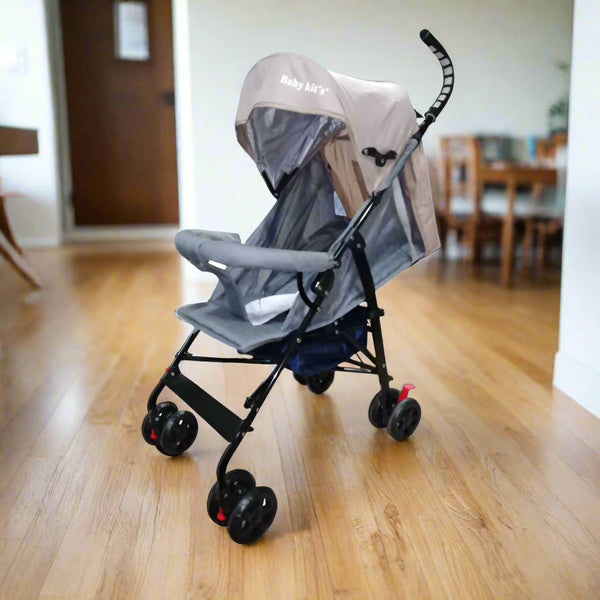 Foldable Buggy