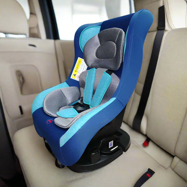CozyCruise Car Seat
