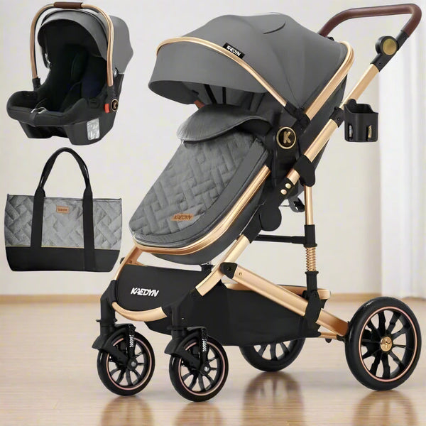 Baby Stroller Travel System