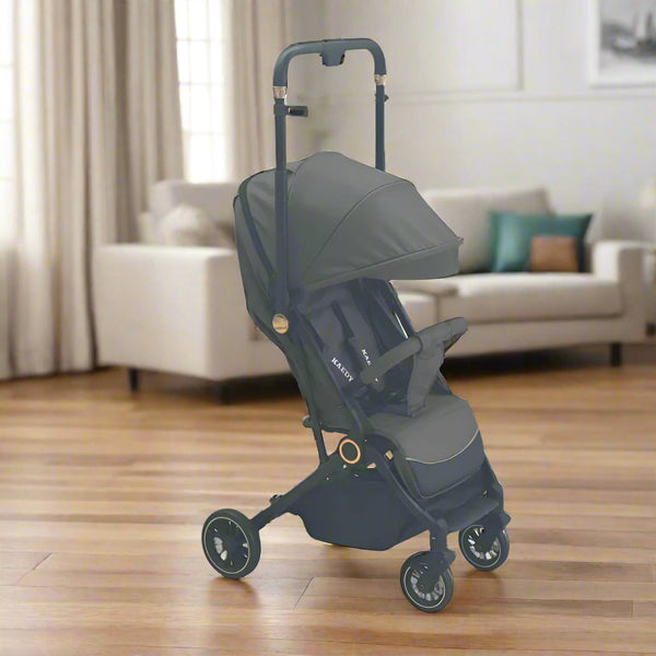 Baby Smart Fold Stroller
