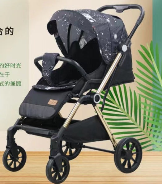 Multi-Wheel Stroller