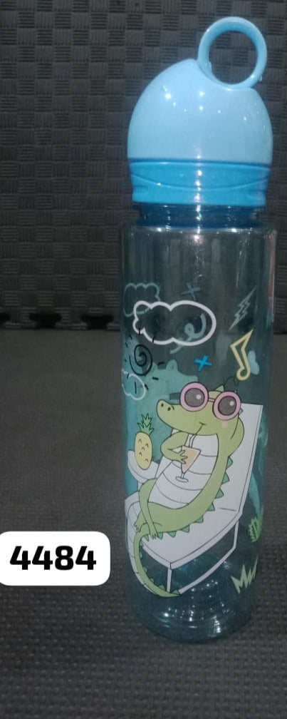 Dino Water Bottle