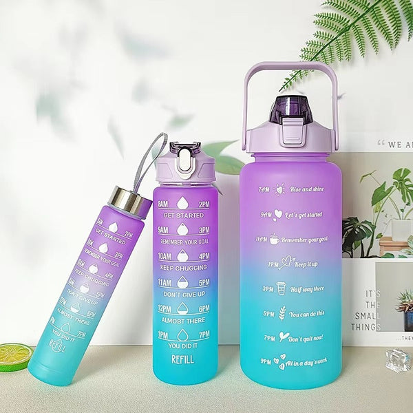 Gradient Color Water Bottle Set with Straw – Pack of 3