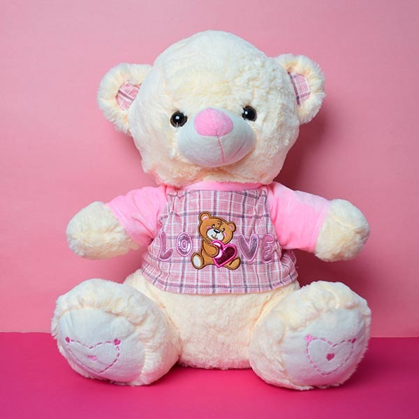 Soft & Huggable Teddy Bear