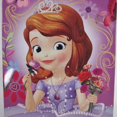 Sofia the First Foam Mat  (2Ft x 2Ft x 1cm)